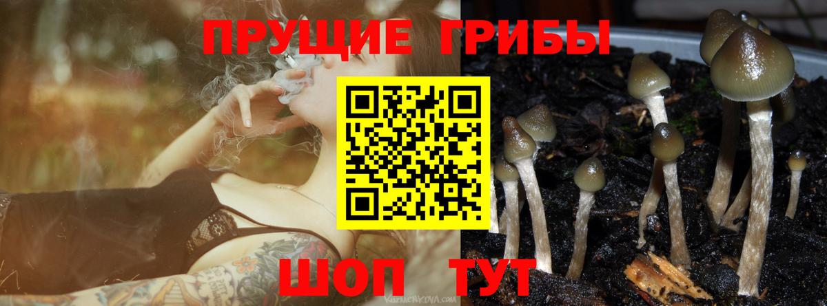 Галлюциногенные грибы мухоморы  сколько стоит  Сланцы  Вход с VPN 